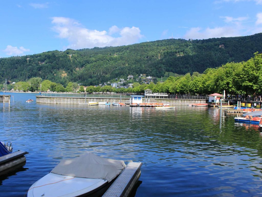 RAdeln entlang des Bodensee Seeufers